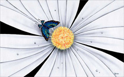 Michael Godard  Michael Godard  Butterfly, White Daisy Flower (AP)