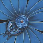 Michael Godard  Michael Godard  Blue Butterfly (AP)