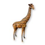 Carlos and Albert Carlos and Albert Giraffe Male