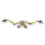 Carlos and Albert Carlos and Albert Frog Slim Split