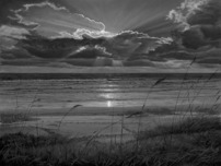 Phillip Anthony Art Phillip Anthony Art Always Rising (AP)(Gallery Wrapped)