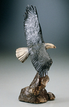 Mark Hopkins Mark Hopkins Bald Eagle