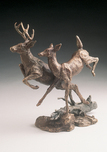 Mark Hopkins Mark Hopkins Deer