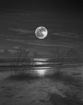 Phillip Anthony Art Phillip Anthony Art Evening Bliss (SN) (Gallery Wrapped)