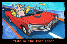 Matt Rinard Matt Rinard Life in the Fast Lane