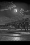 Phillip Anthony Art Phillip Anthony Art Jax Beach (AP) (14
