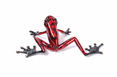 Frogman - Tim Cotterill Frogman - Tim Cotterill Kringle (SN)
