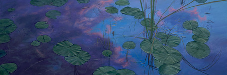 Phillip Anthony Art Phillip Anthony Art Lilies in the Sky (AP) (Gallery Wrapped)