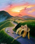 Jim Warren  Jim Warren  Long And Winding Road