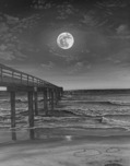 Phillip Anthony Art Phillip Anthony Art Love You to the Moon and Back (AP) (Gallery Wrapped)