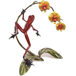 Frogman - Tim Cotterill Frogman - Tim Cotterill Orchid