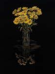 Phillip Anthony Art Phillip Anthony Art Painting Miss Daisies (AP) (Gallery Wrapped)