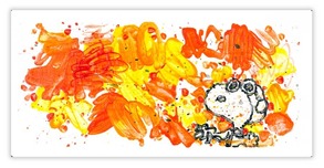 Tom Everhart Tom Everhart Partly Cloudy 7:30 Morning Fly