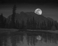 Phillip Anthony Art Phillip Anthony Art Peek-A-Boo Peak (AP) (Gallery Wrapped)