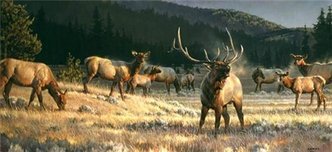 Nancy Glazier Nancy Glazier Rocky Mountain Meadow (AP)