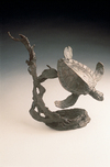 Mark Hopkins Mark Hopkins Sea Turtle