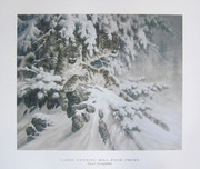 Larry Fanning Larry Fanning Snow Leopard (Poster) 