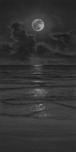 Phillip Anthony Art Phillip Anthony Art Summer Nights (AP) (Gallery Wrapped)