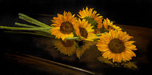 Phillip Anthony Art Phillip Anthony Art My Daughter's Petals (AP) (Gallery Wrapped)