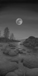 Phillip Anthony Art Phillip Anthony Art Tahoe Rocks (AP) (Gallery Wrapped)