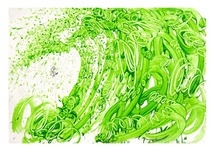 Tom Everhart Tom Everhart Venice Moon Dogg E VII #7 - Green