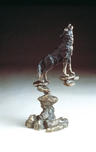 Mark Hopkins Mark Hopkins Wolf
