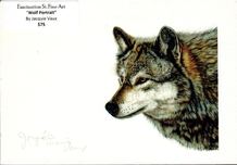 Fine Artwork On Sale! Fine Artwork On Sale! Wolf Portrait