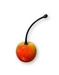 Donald Carlson Donald Carlson Yellow Cherry (Size 1)