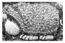 Tom Everhart Tom Everhart Does This Make Me Look Fat (JE)