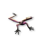 Carlos and Albert Carlos and Albert Frog Slim Long Leg