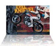 Stephen Holland Stephen Holland Evel Knievel 