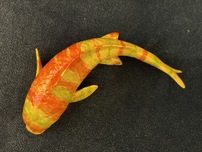 Ancizar Marin Ancizar Marin Koi Fish (Large) (Orange and Yellow Stripes)