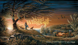 Terry Redlin Terry Redlin Lifetime Friends