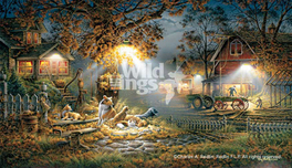 Terry Redlin Terry Redlin Our Friends