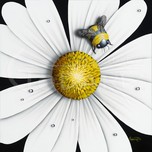 Michael Godard  Michael Godard  White Flower Bumblebee (AP)