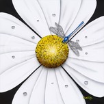 Michael Godard  Michael Godard  White Flower Dragonfly (AP)
