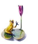 Frogman - Tim Cotterill Frogman - Tim Cotterill Water Lily