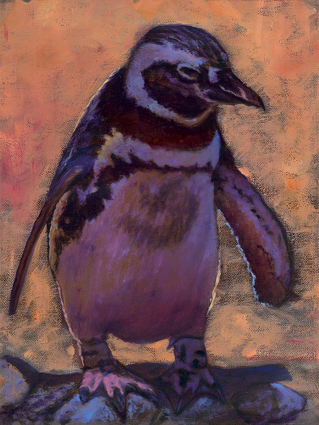Phillip Anthony 00Penguin (AP) (Gallery Wrapped)