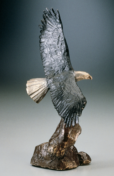 Mark Hopkins Bald Eagle