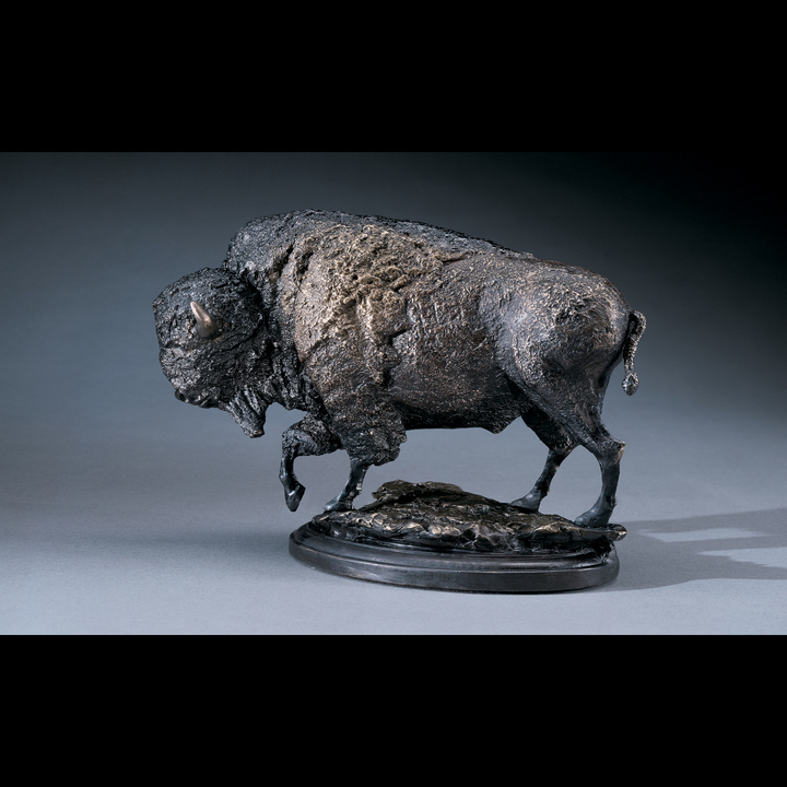 Eli Hopkins Bison by Eli