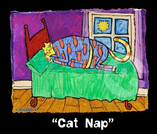 Matt Rinard Cat Nap