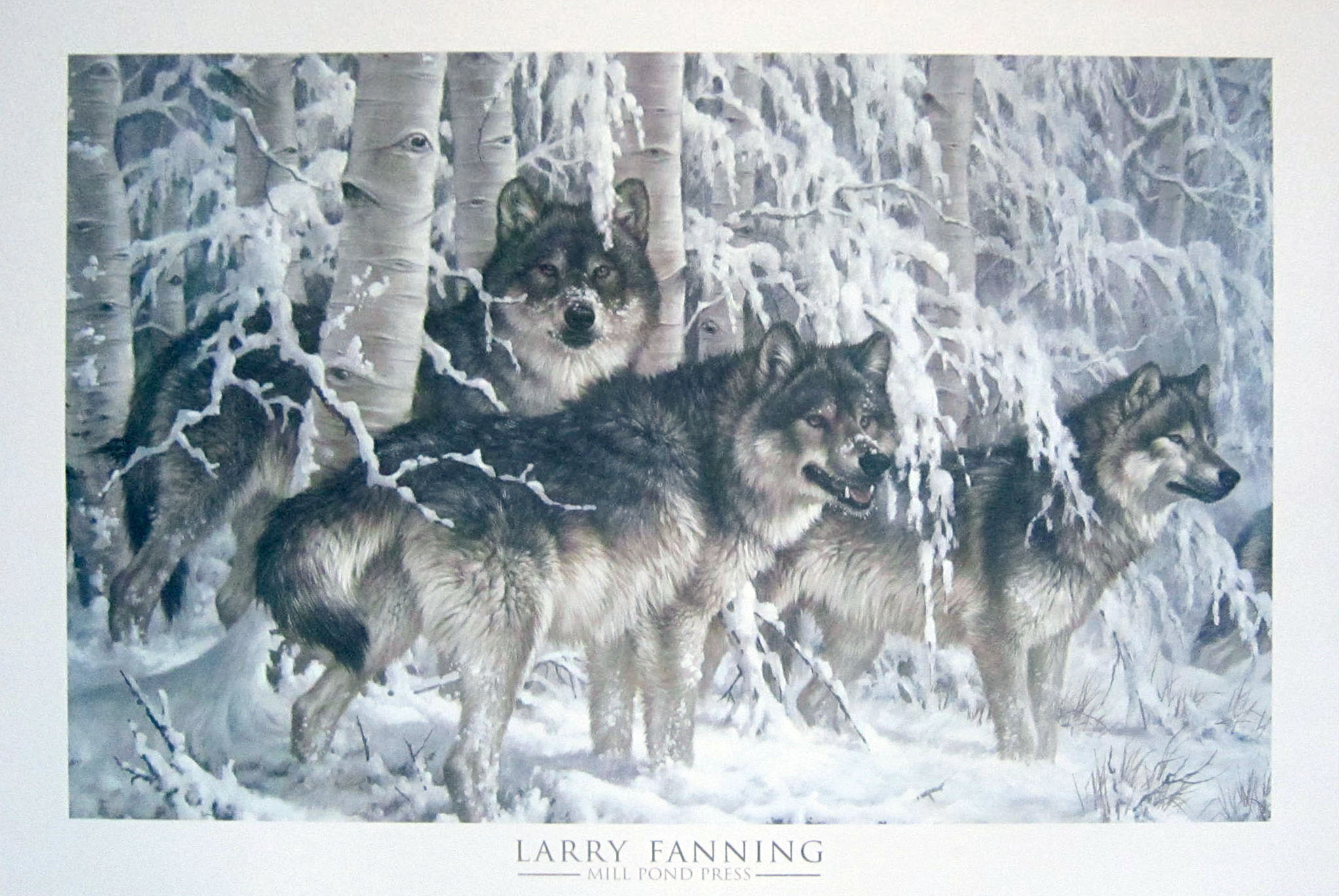 Larry Fanning Crystal Forest - Gray Wolves (Poster) 