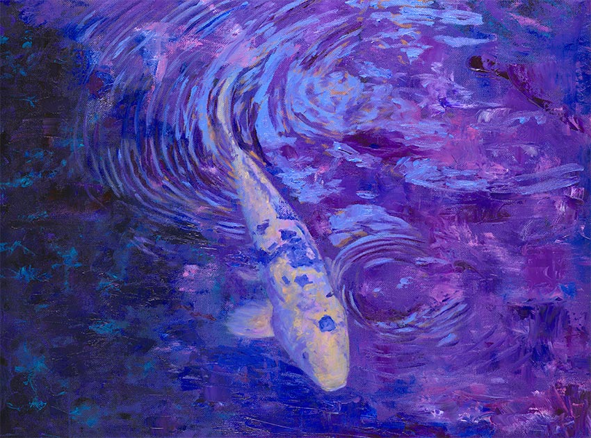 Phillip Anthony Koi Fish (AP) (Gallery Wrapped)