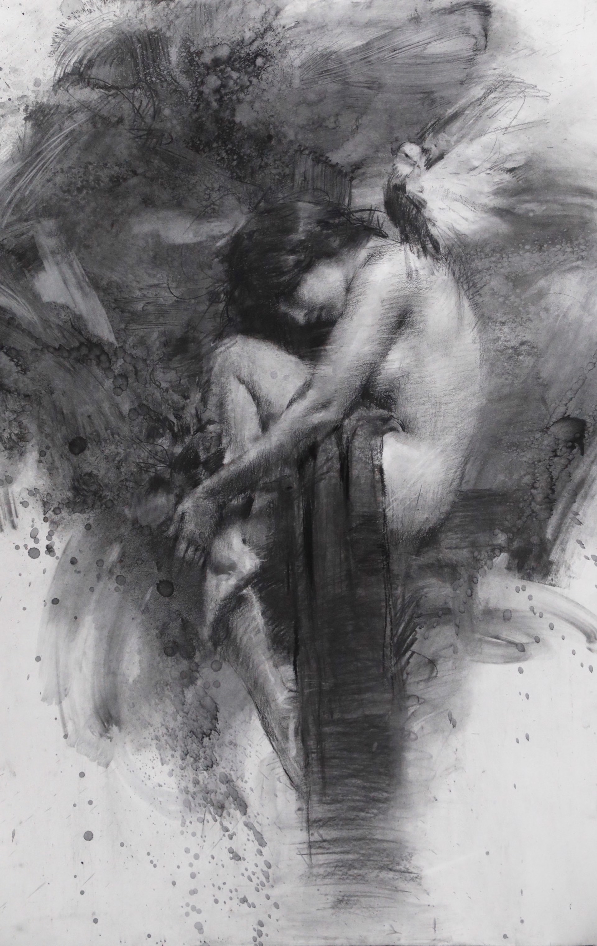 Henry Asencio Paloma Blanca (SN)