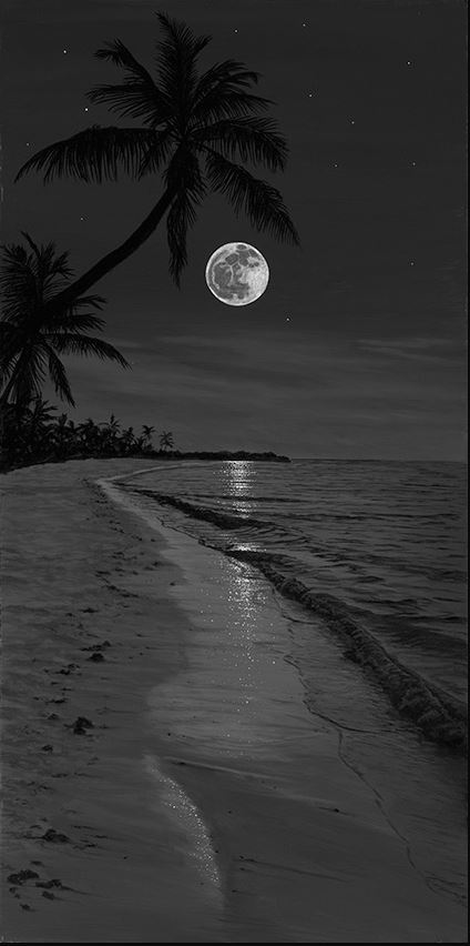 Phillip Anthony Peaceful Paradise (AP) (Gallery Wrapped