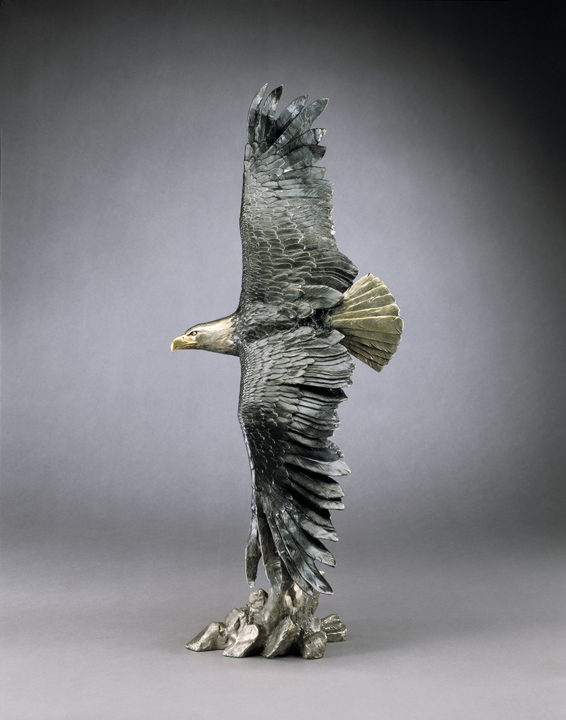 Mark Hopkins Vigilance (Medium)