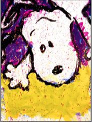 Tom Everhart Fall