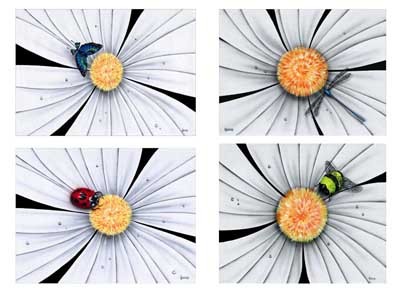 Michael Godard White Daisy Flower Series II - Set of Four (SN)