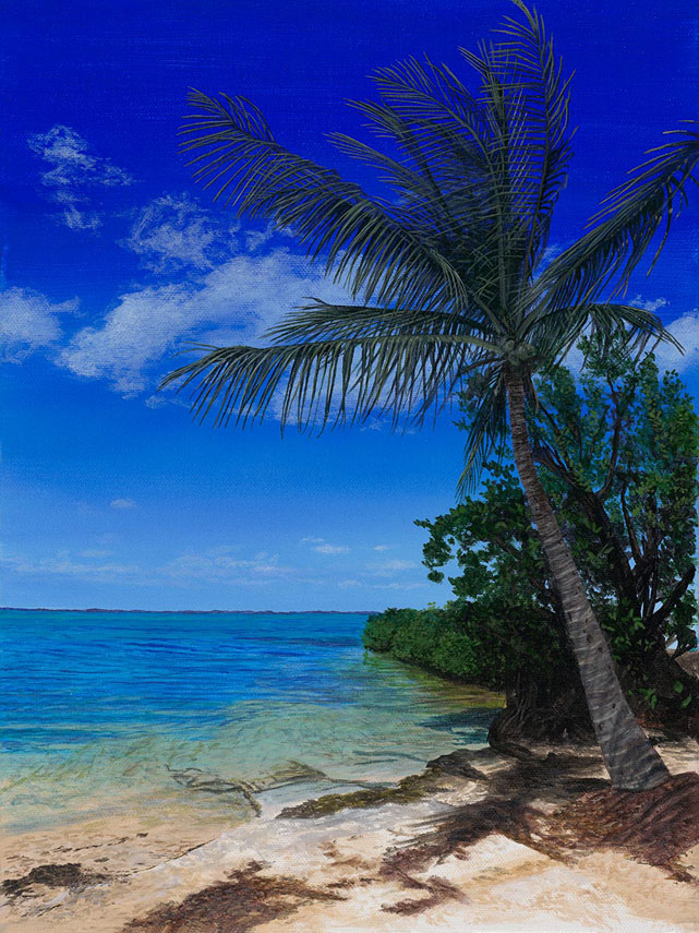 Phillip Anthony Some Beach Somewhere (AP) (Gallery Wrapped)