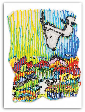 Tom Everhart Super Fly - Summer